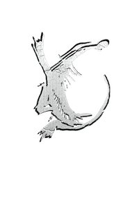 Brescia Stone — Brand Identity